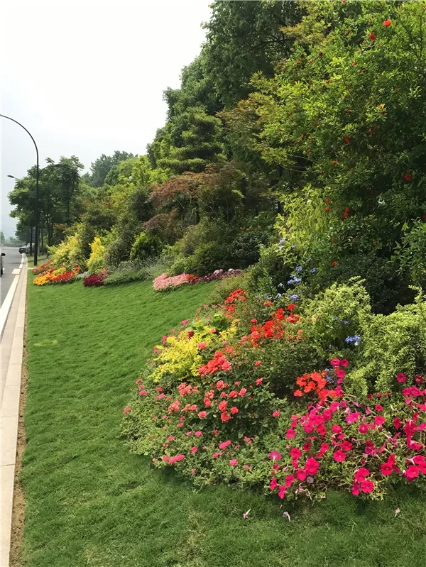 彩运网(中国游)官方网站