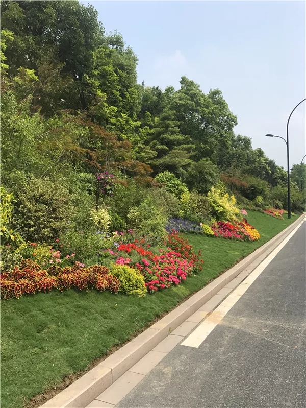 彩运网(中国游)官方网站