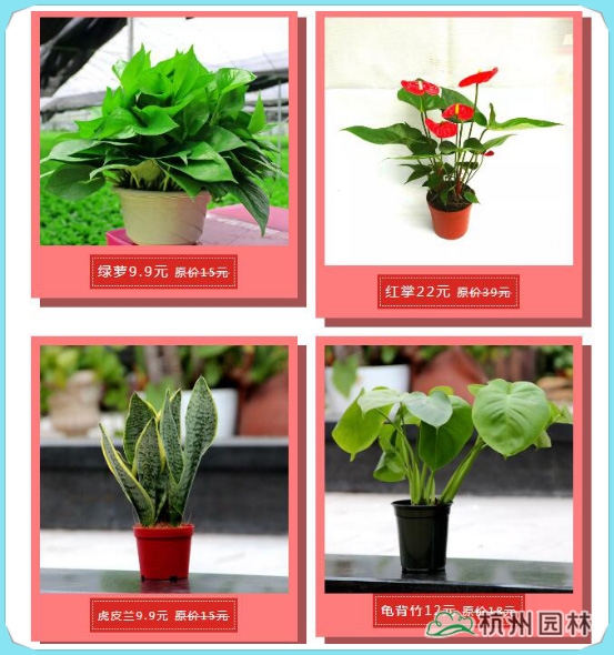 彩运网(中国游)官方网站