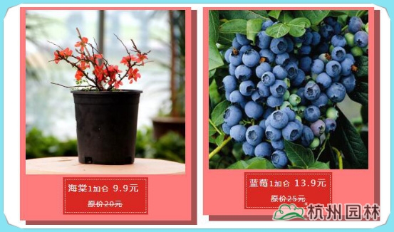 彩运网(中国游)官方网站