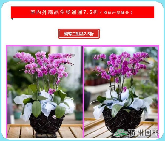 彩运网(中国游)官方网站