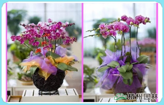 彩运网(中国游)官方网站