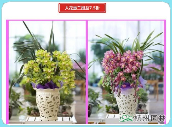 彩运网(中国游)官方网站