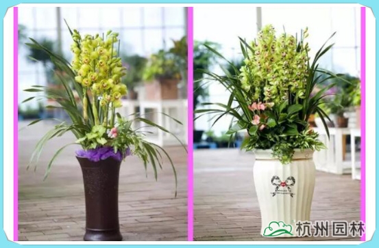 彩运网(中国游)官方网站