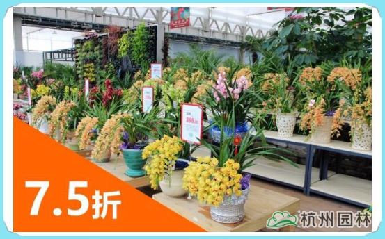 彩运网(中国游)官方网站