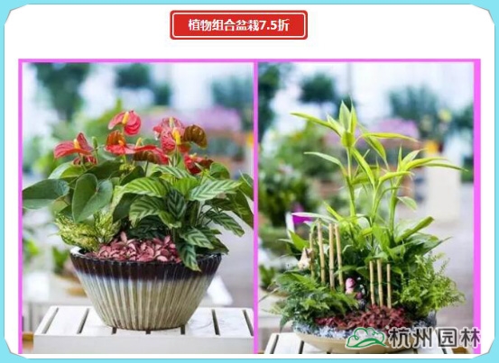 彩运网(中国游)官方网站