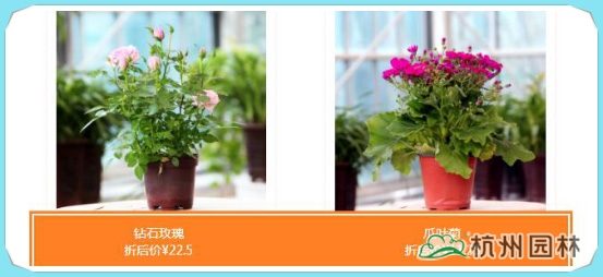 彩运网(中国游)官方网站