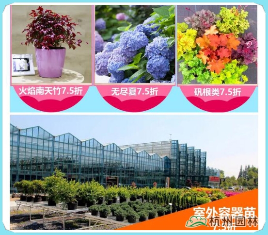 彩运网(中国游)官方网站