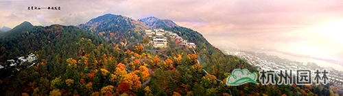 彩运网(中国游)官方网站