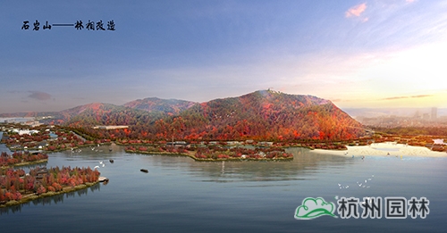 彩运网(中国游)官方网站