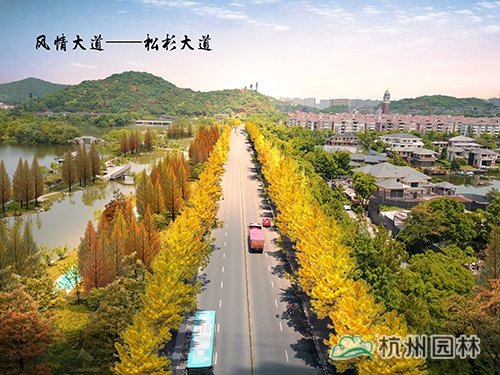 彩运网(中国游)官方网站