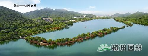 彩运网(中国游)官方网站