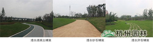 彩运网(中国游)官方网站