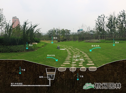 彩运网(中国游)官方网站