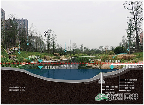 彩运网(中国游)官方网站