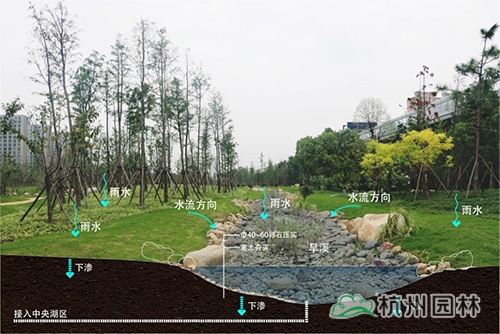 彩运网(中国游)官方网站