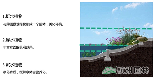 彩运网(中国游)官方网站