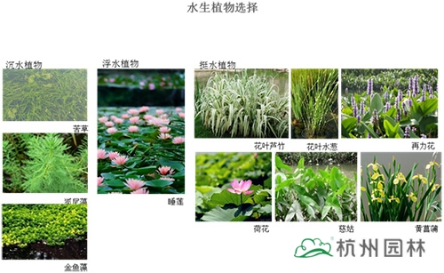 彩运网(中国游)官方网站