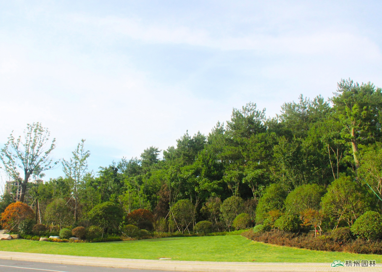 彩运网(中国游)官方网站