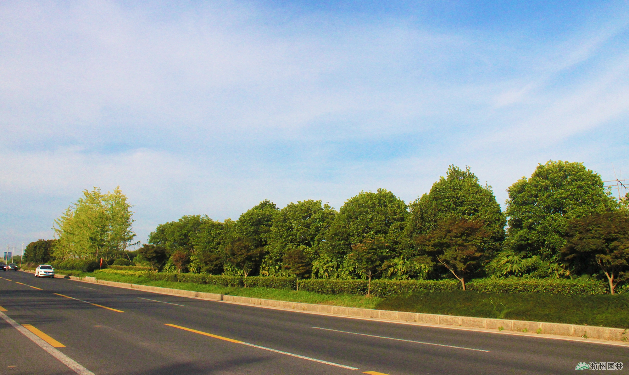 彩运网(中国游)官方网站