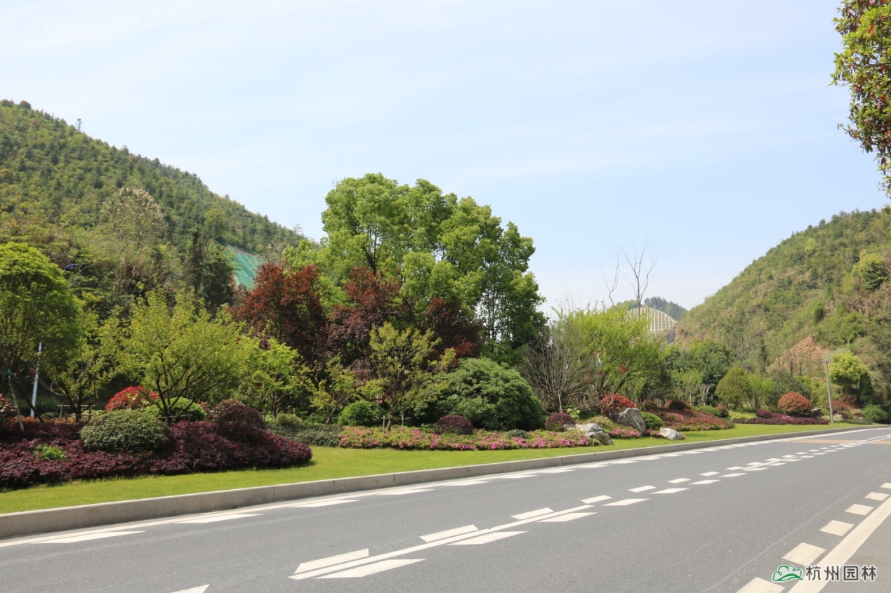 彩运网(中国游)官方网站