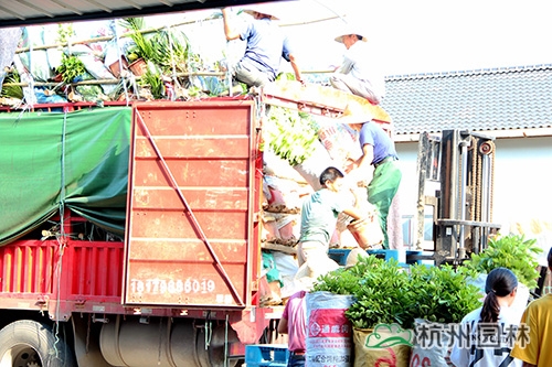 彩运网(中国游)官方网站