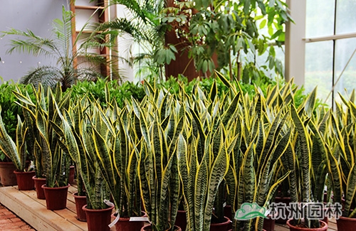 彩运网(中国游)官方网站