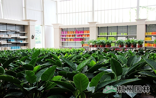 彩运网(中国游)官方网站