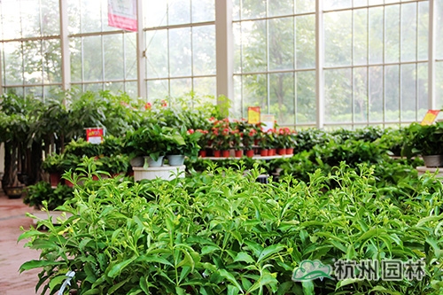 彩运网(中国游)官方网站