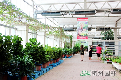 彩运网(中国游)官方网站