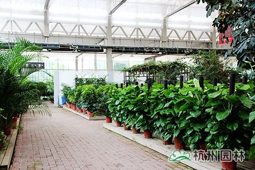 彩运网(中国游)官方网站