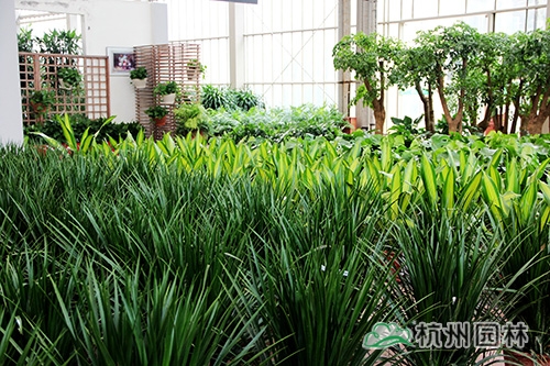 彩运网(中国游)官方网站