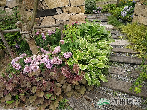 彩运网(中国游)官方网站