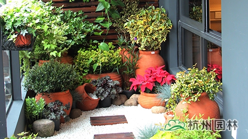 彩运网(中国游)官方网站