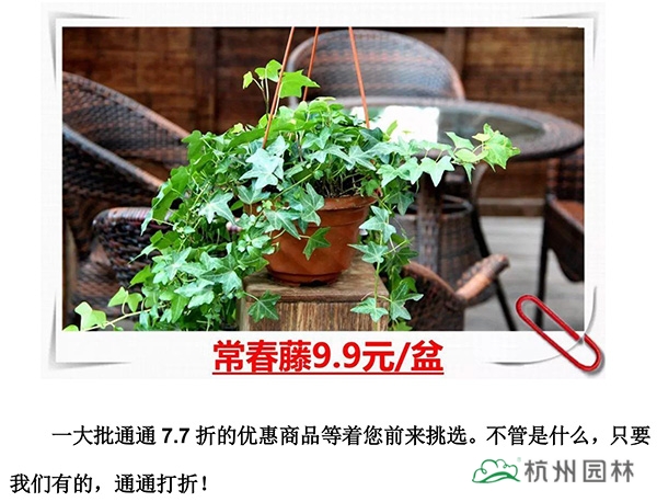 彩运网(中国游)官方网站