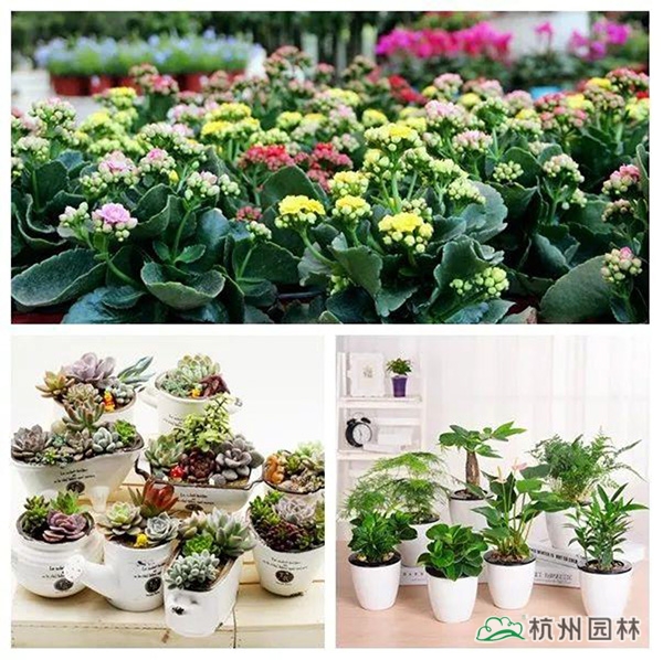 彩运网(中国游)官方网站