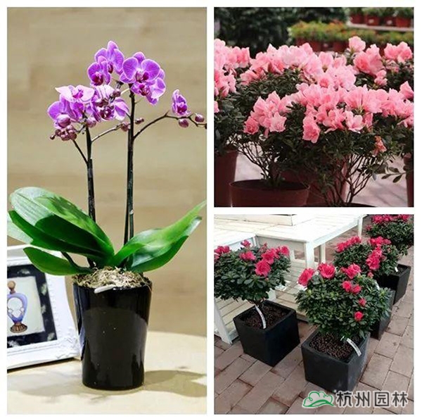 彩运网(中国游)官方网站