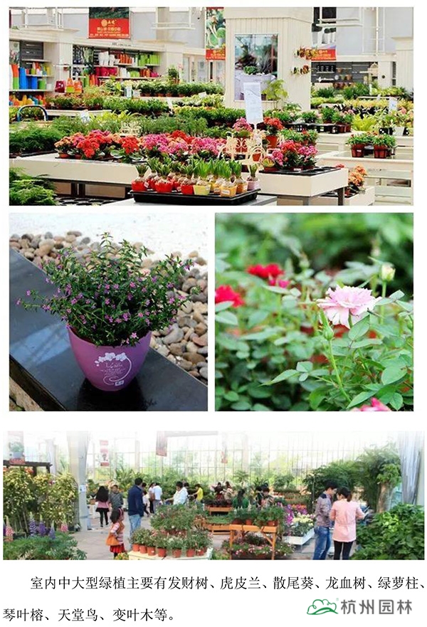 彩运网(中国游)官方网站