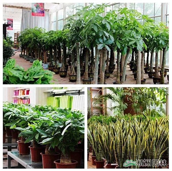 彩运网(中国游)官方网站