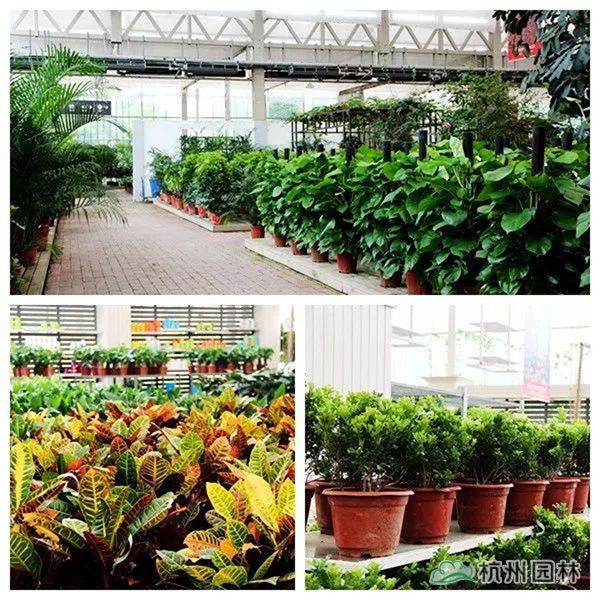 彩运网(中国游)官方网站