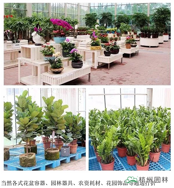 彩运网(中国游)官方网站