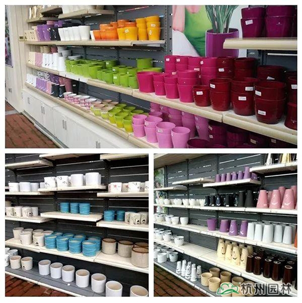 彩运网(中国游)官方网站