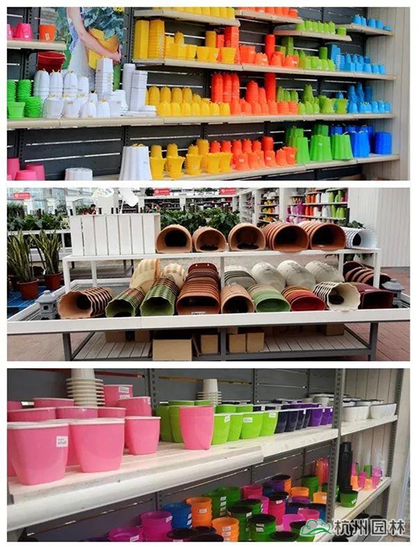 彩运网(中国游)官方网站