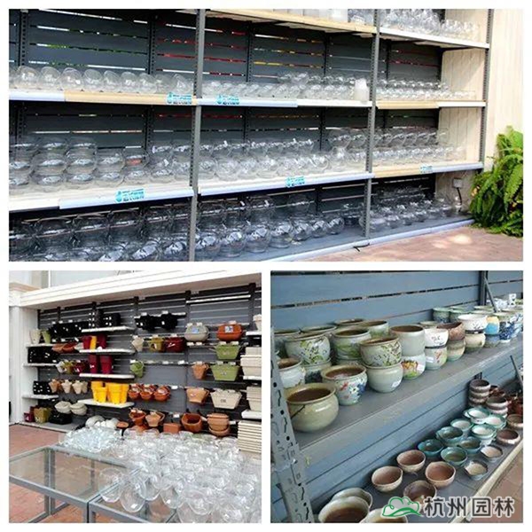 彩运网(中国游)官方网站