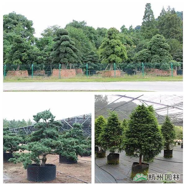 彩运网(中国游)官方网站