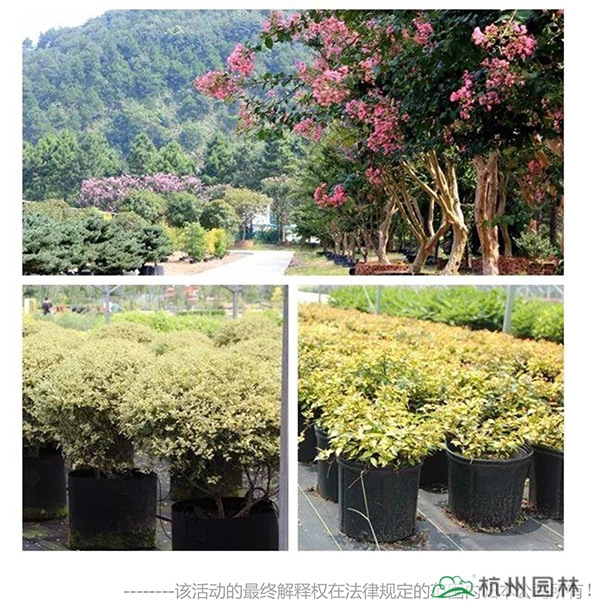 彩运网(中国游)官方网站