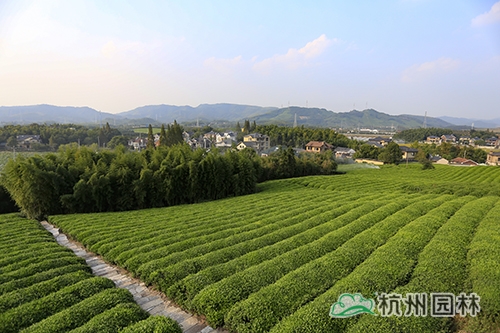 彩运网(中国游)官方网站