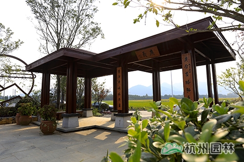 彩运网(中国游)官方网站