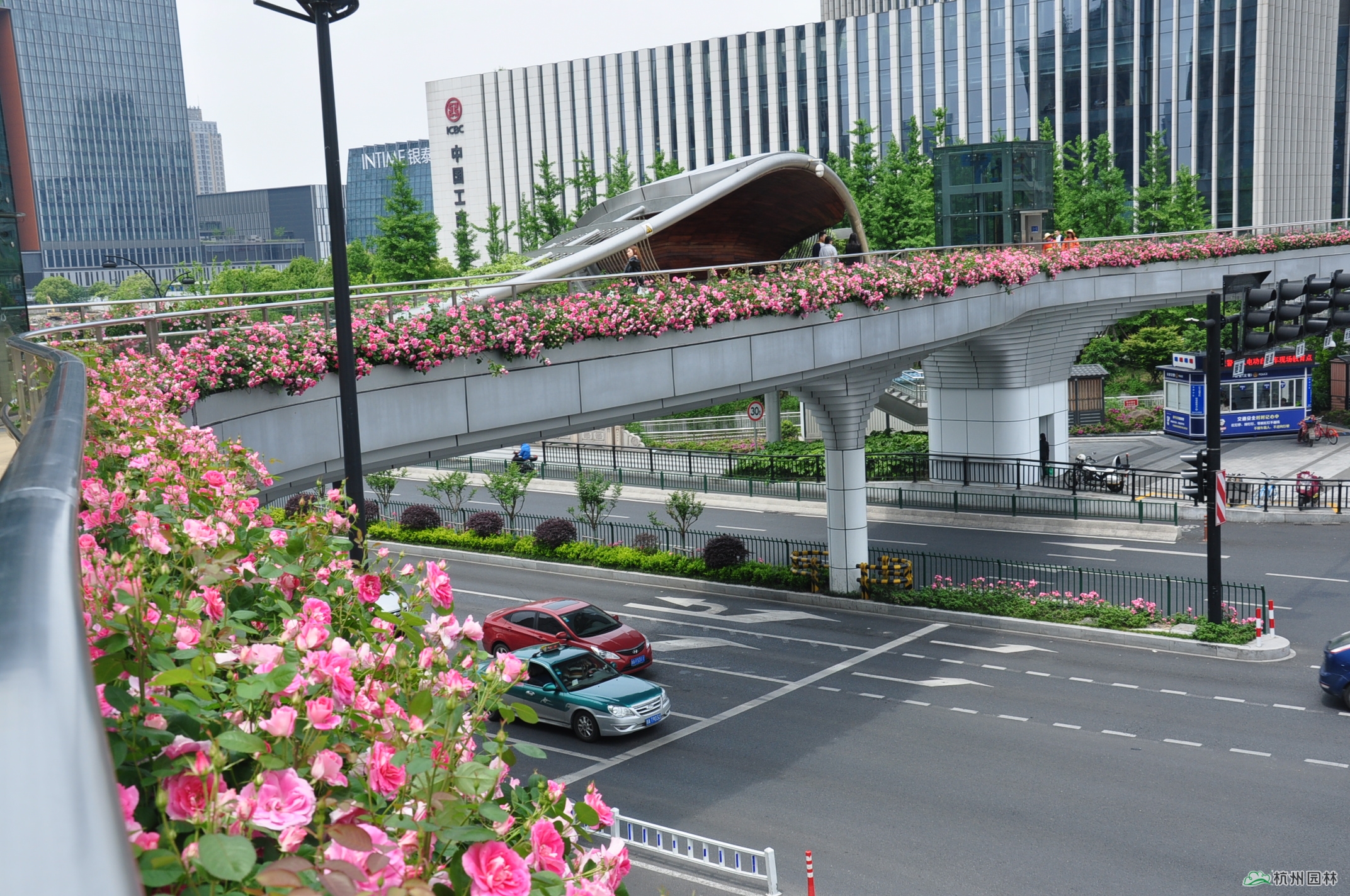 彩运网(中国游)官方网站