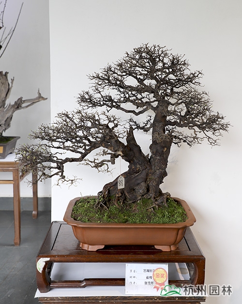 彩运网(中国游)官方网站